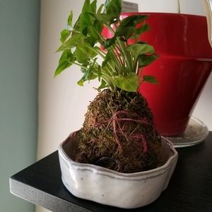 Meet your Posher, Rhetta